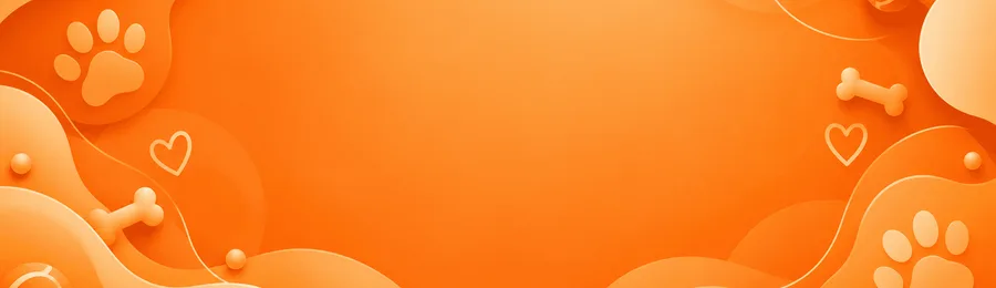 درخواست همکاری با پتومن